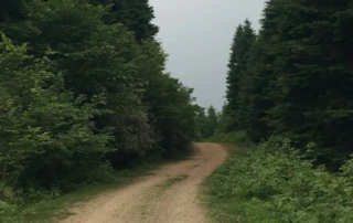 AgingCT June 2026 Newsletter Stories from the Field