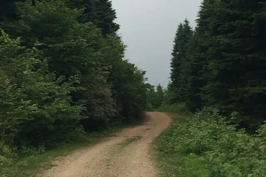 AgingCT June 2026 Newsletter Stories from the Field